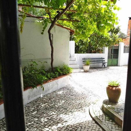 Casa Dos Pocinhos Ferias Tranquilas No Campo ตอร์เฮสนอวาส ภายนอก รูปภาพ