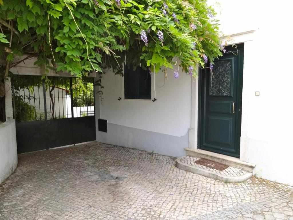 Casa Dos Pocinhos Ferias Tranquilas No Campo ตอร์เฮสนอวาส ภายนอก รูปภาพ